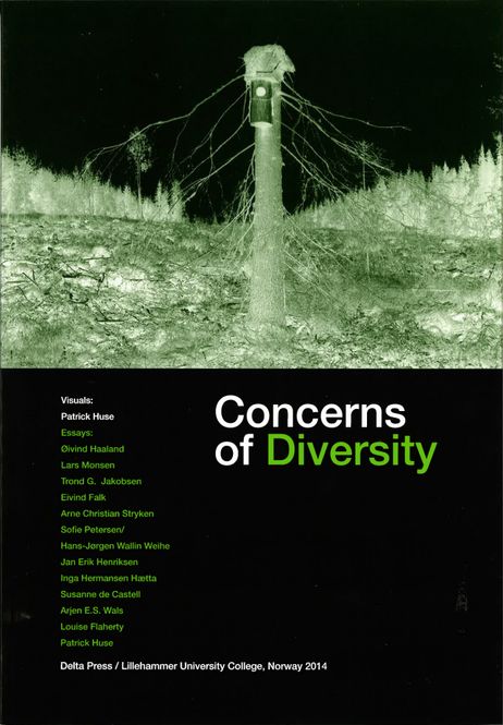 Hovedbilde Patrick Huse - Concerns of Diversity