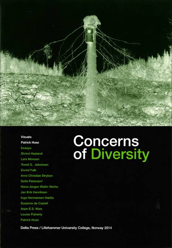 Patrick Huse - Concerns of Diversity