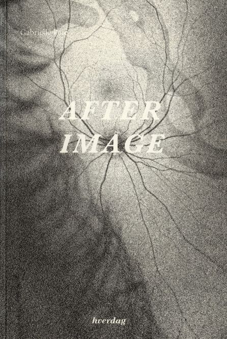 Hovedbilde Hverdag Books, AFTER IMAGE / av Gabrielle Paré