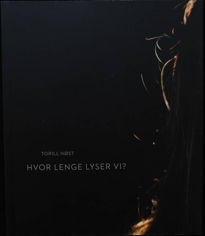 Torill Nøst - Hvor lenge lyser vi?