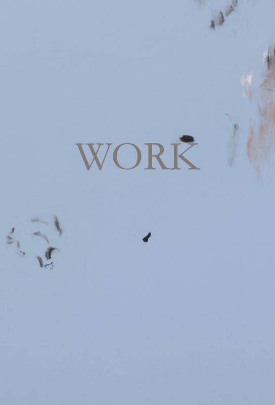 Hanna Sjöstrand - WORK