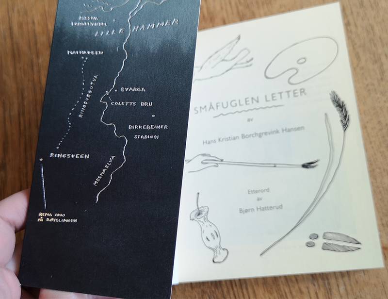 Hans Hansen - Småfuglen letter