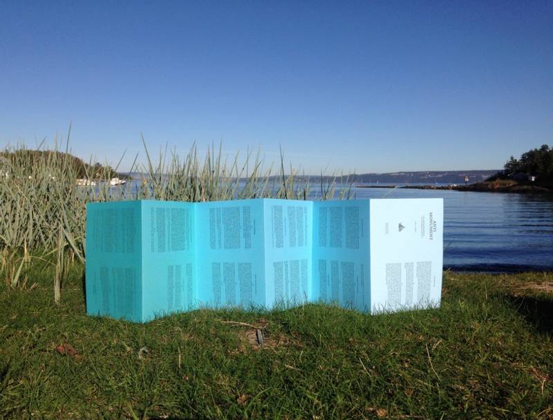 Nina M. Schjønsby - Antimonument. En sirkulerende journal om ven