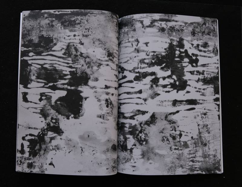 Birk Bjørlo - Snail trails and other signs of existence