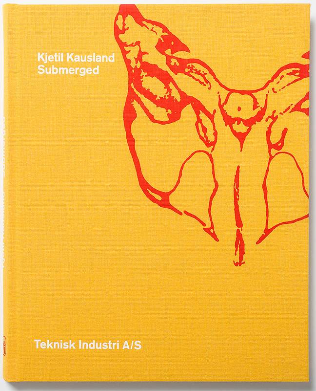 Kjetil Kausland - Submerged