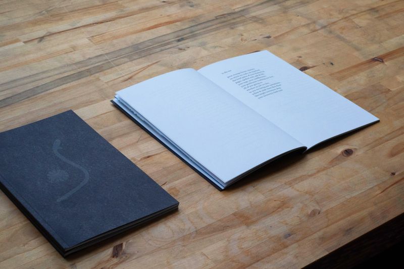 Hverdag Books, Mother Tongues / av Alva Mooses og Aracelis Girmay