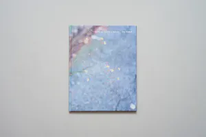 Hovedbilde Ola Rindal - Notes on Ordinary Spaces