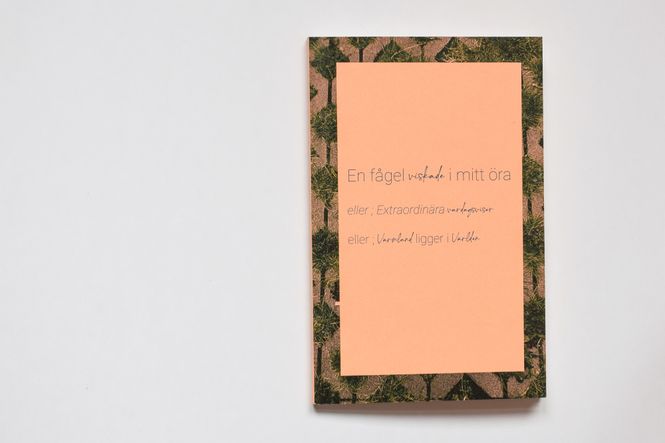 Hovedbilde Sara Rönnbäck - En fågel viskade i mitt öra